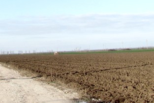 Parohia Valea Măcrișului cere în instanță un teren care aparține administrației locale