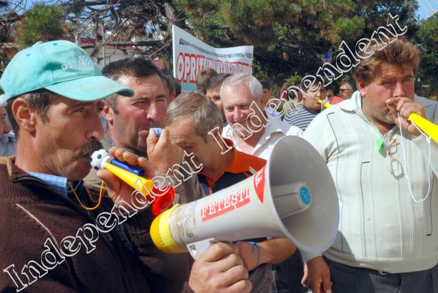 Miting de complezență