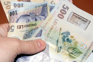 Firmele ialomițene au înregistrat o cifră de afaceri totală de 12,2 miliarde de lei