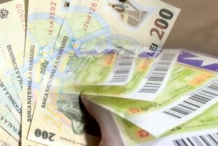 Ialomița: Menajere sau bone plătite cu «tichete casnice»