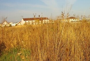 Impozite majorate cu 500% pentru proprietarii clădirilor și terenurilor neîngrijite din Slobozia