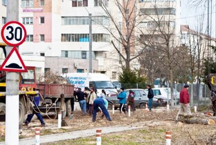 Mii de ialomițeni muncesc «sezonier» pentru a beneficia de ajutoare sociale