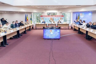 «rectificări bugetare», «organigrame» și Cultură în Registru