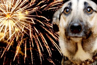 Primăria Slobozia nu renunță la artificii în noaptea de Revelion