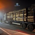 Camion plin cu lemne, confiscat la Reviga