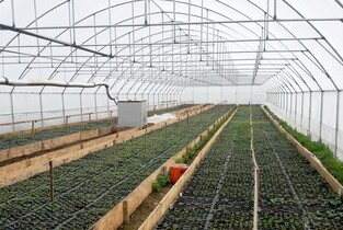 Parteneriat între Primăria Fetești și Consiliul Județean Ialomița pentru dezvoltarea unui proiect dedicat agriculturii ecologice