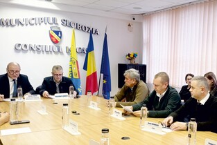 Primăria Slobozia, obligată să revoce retragerea terenurilor pentru tineri