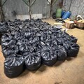 Urziceni: Fabrică ilegală de tutun, descoperită de polițiști 