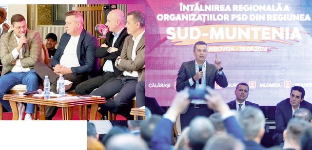 Partidul Social Democrat, consultări cu organizațiile locale PSD privind guvernarea