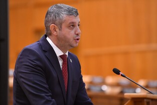 Deputatul PSD Ștefan Țintă, interpelare pe tema înzestrării Armatei Române