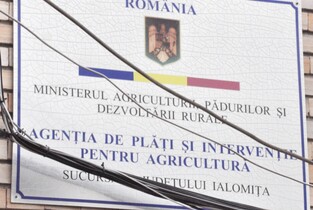 APIA Ialomița a primit peste 7300 de cereri pentru plata unică pe suprafață