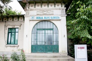 Inculpați trimiși în judecată pentru lucrări de împădurire fictive
