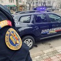 Slobozia: Tineri bănuiți de «tâlhărie», depistați de jandarmi la scurt timp după comiterea faptei