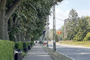 Modernizare digitală în Parcul Municipal Fetești: internet Wi-Fi public și gratuit!