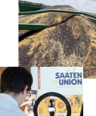 SAATEN Union execută silit «penalitățile de întârziere» din contracte!