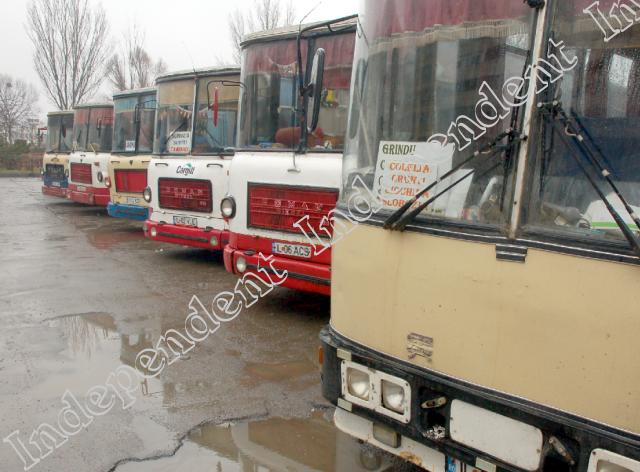 Ialomița, patria piraților din transportul public