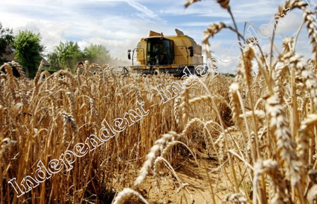 10000 de fermieri au solicitat subvenții agricole în 2011