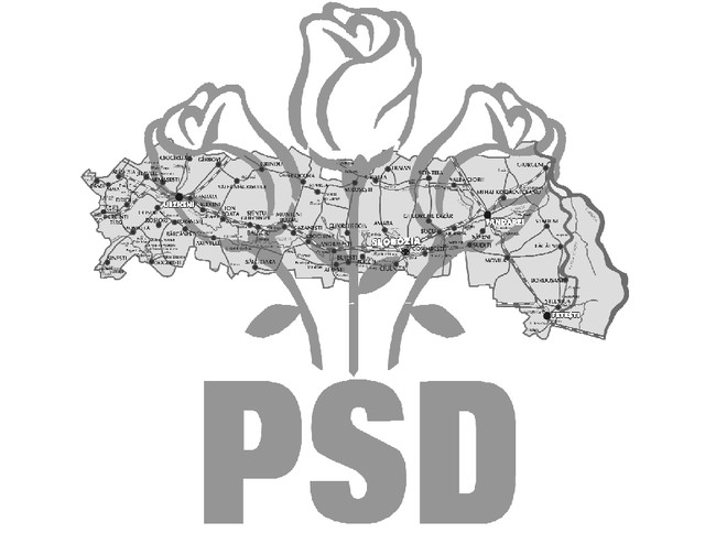   Ialomița pentru PSD, Slobozia pentru Martin