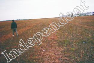 Spijinul pe suprafață, condiționat de respectarea bunelor condiții agricole