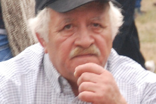 Cu zgardă, fără zgardă