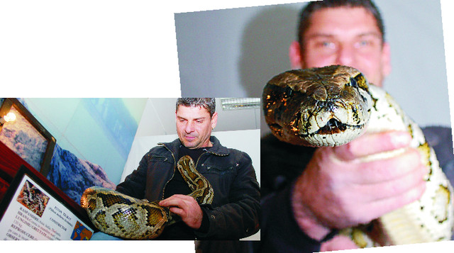 Colecționarul de reptile