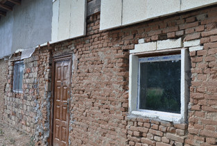 Crescătorie ilegală de vipere la Sudiți