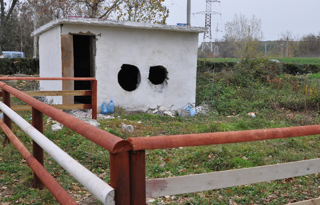 Manejul lui (ș)Manache
